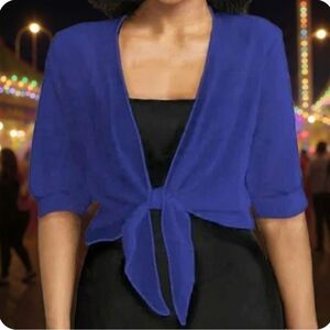 Plus Size Chiffon Blue Tie Cardigan Blouse